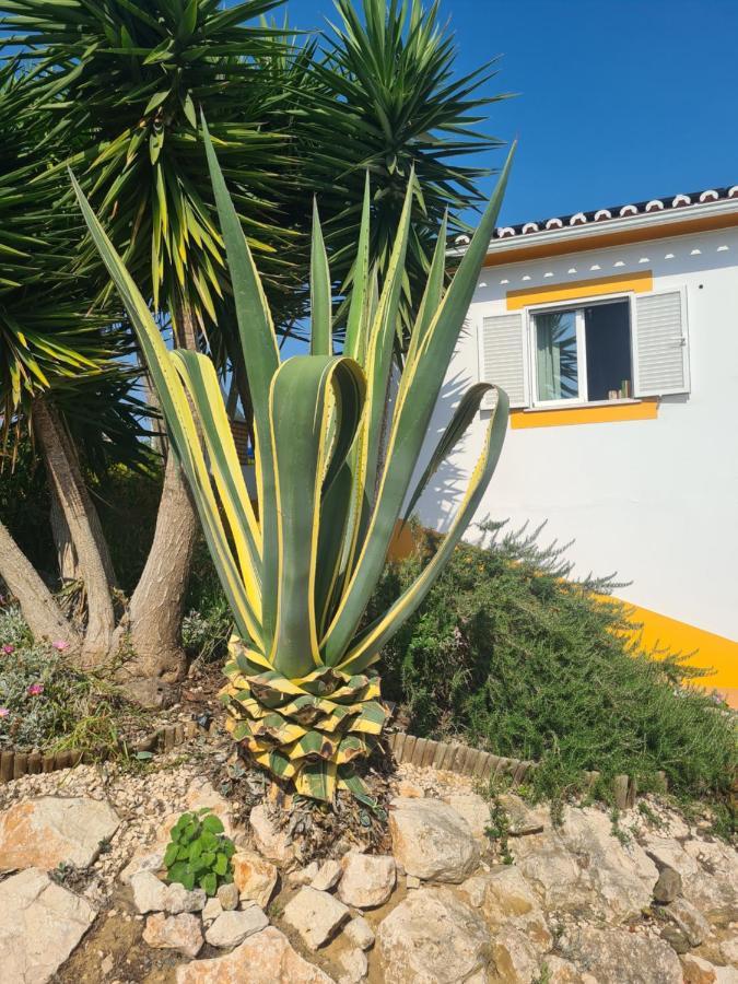 Casa Ensolarada B&B And Pottery Aljezur Exterior photo